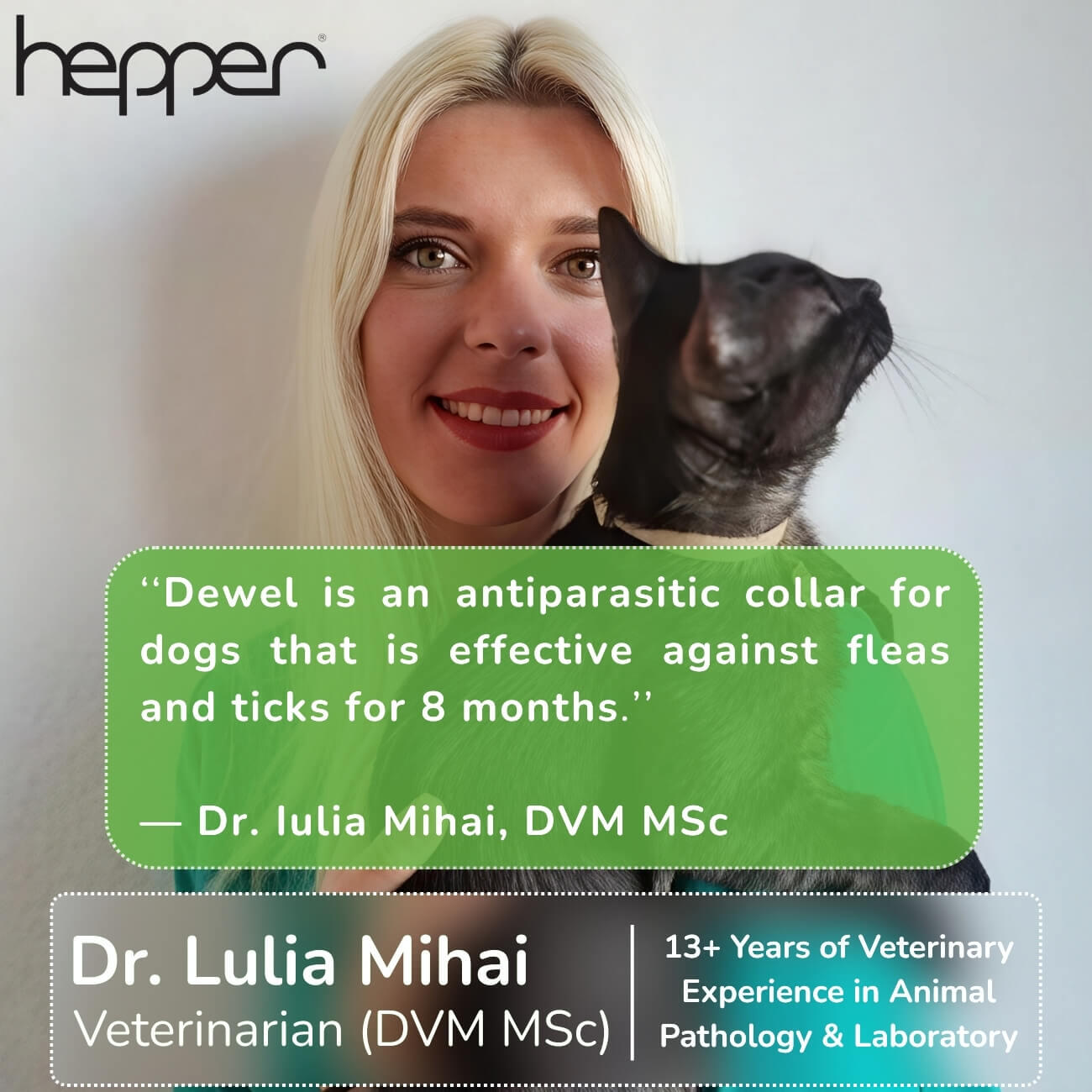 #1 — DEWEL Flea & Tick Collar for Dogs (8-Month Natural Protection)